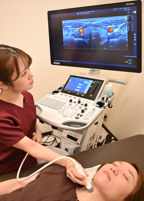 Examination of blood flow to the inner ear using echo